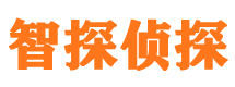 枞阳市私家侦探